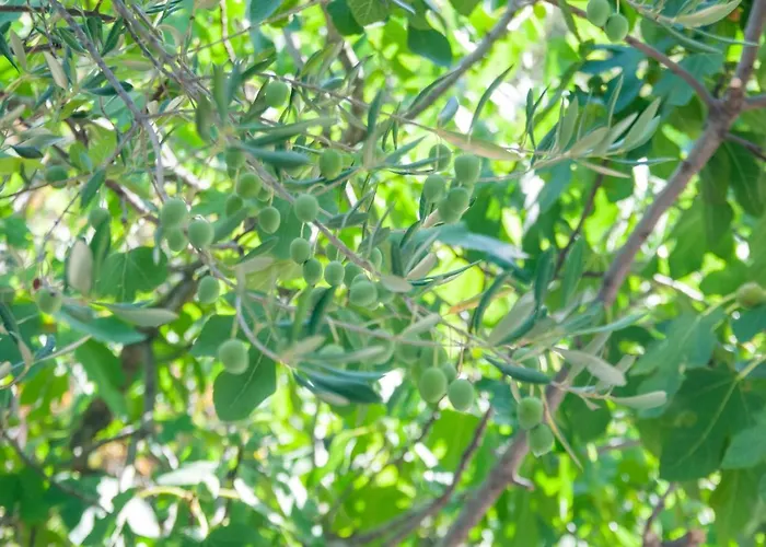 Appartement Mia Trogir